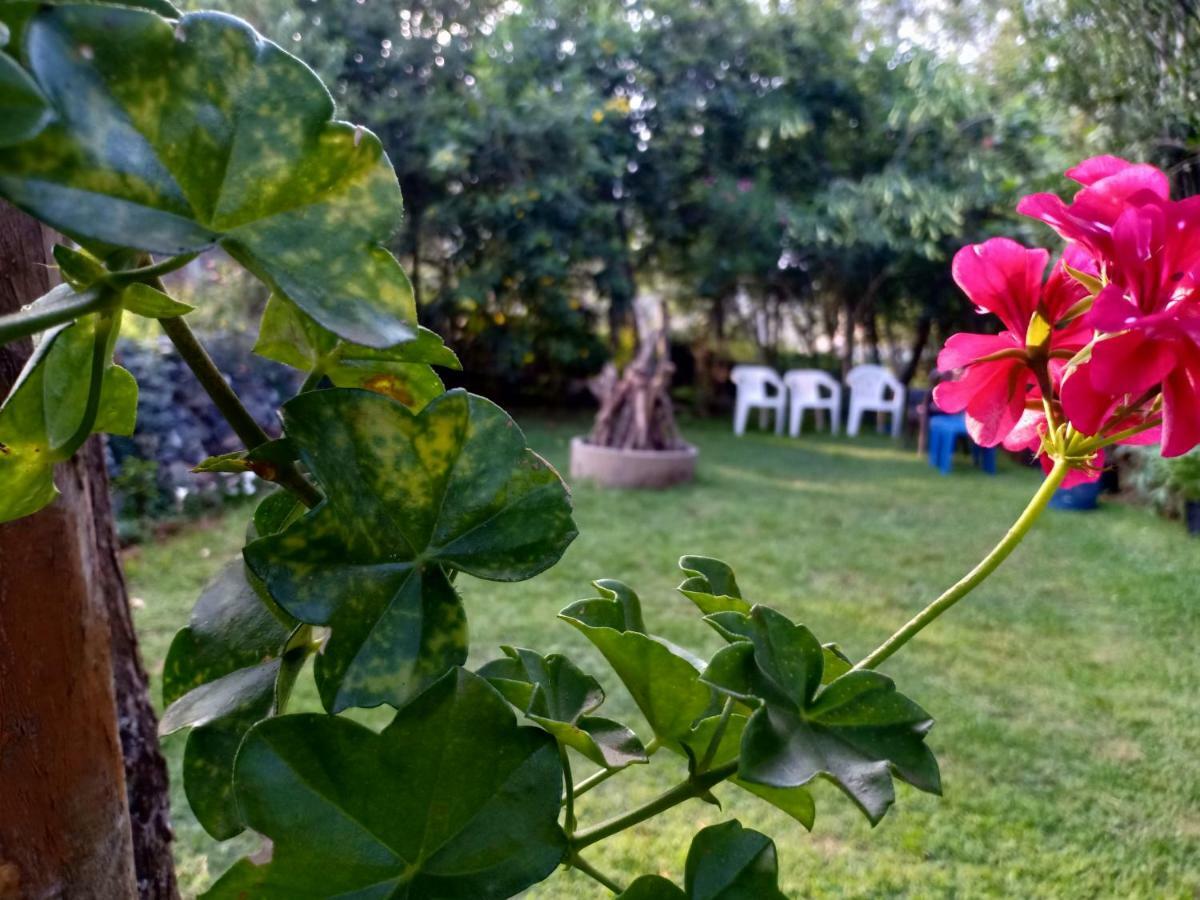 Pear Tree Inn Villa Kotagiri Exterior foto