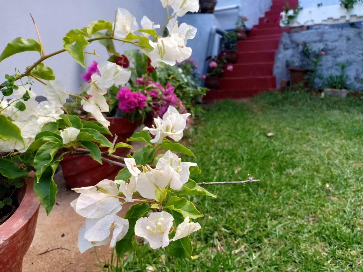 Pear Tree Inn Villa Kotagiri Exterior foto